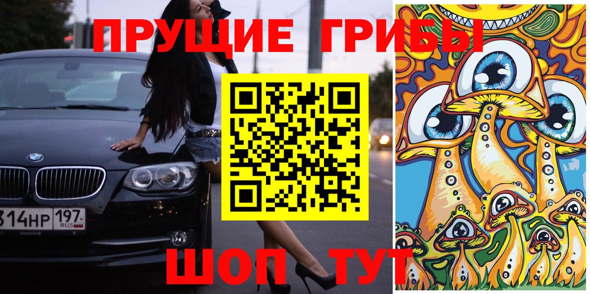 Псилоцибиновые грибы прущие грибы  Вход с VPN  Братск  Галлюциногенные грибы MAGIC MUSHROOMS 